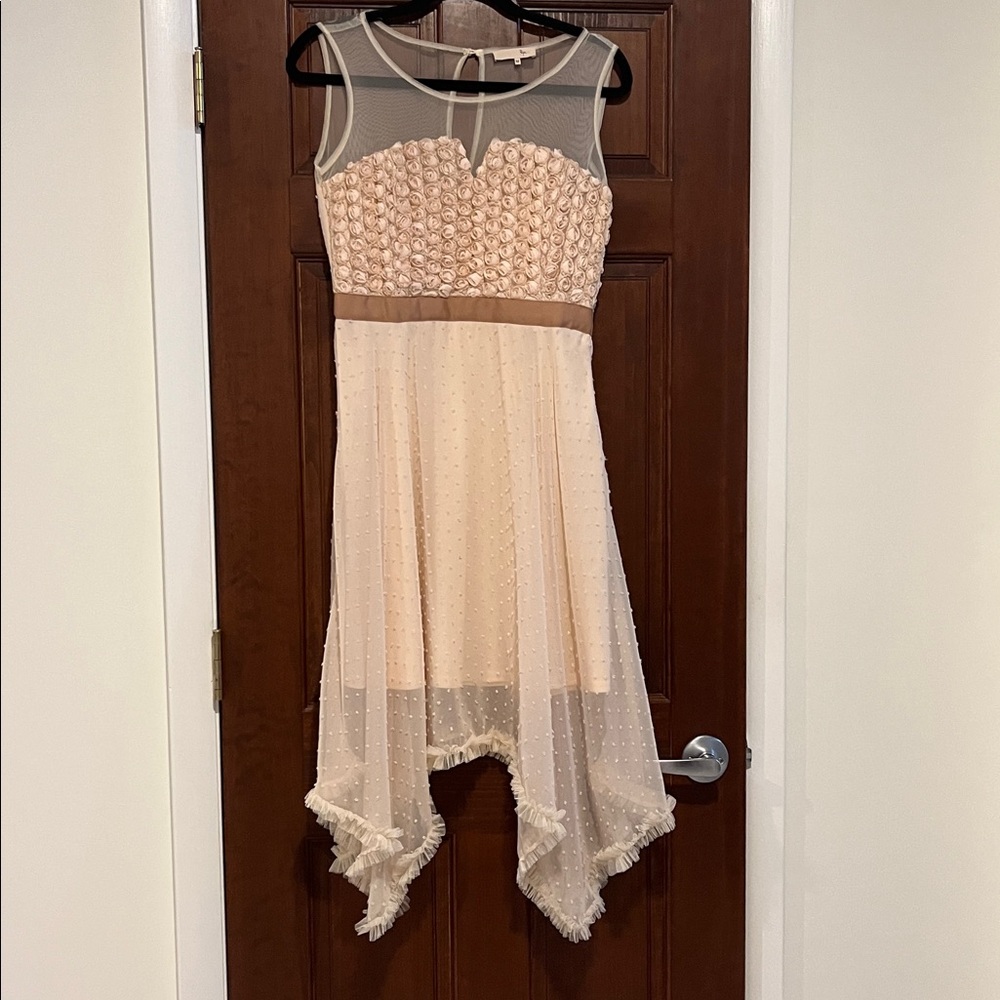 Ryu Anthropologie Blush Beige Mesh Detail Rosebud Dress